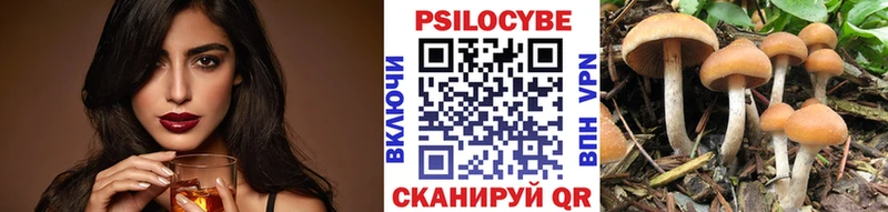 Псилоцибиновые грибы мицелий Боровск